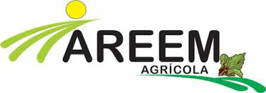 logo-areem